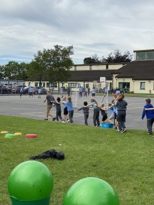 IMG_8434
